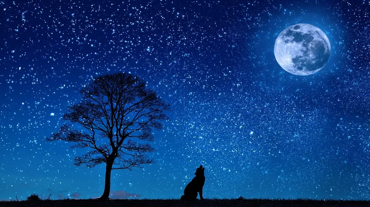 ¿Qué significa el nodo real en Virgo?