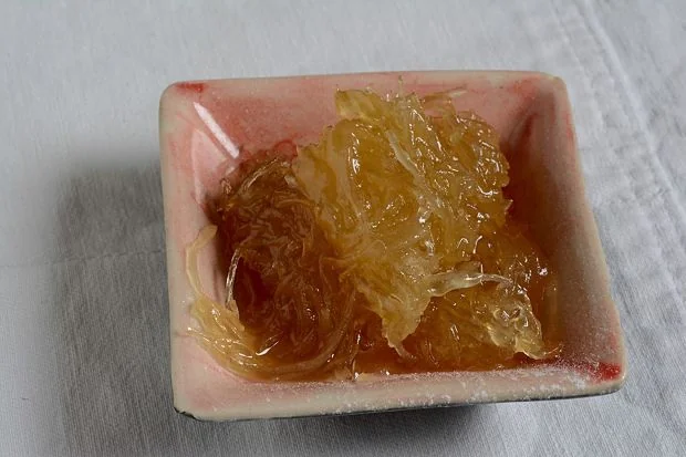 dulce de cayote