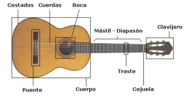 Guía Visual de las Partes de la Guitarra infografía de una guitarra criolla con las partes del instrumento