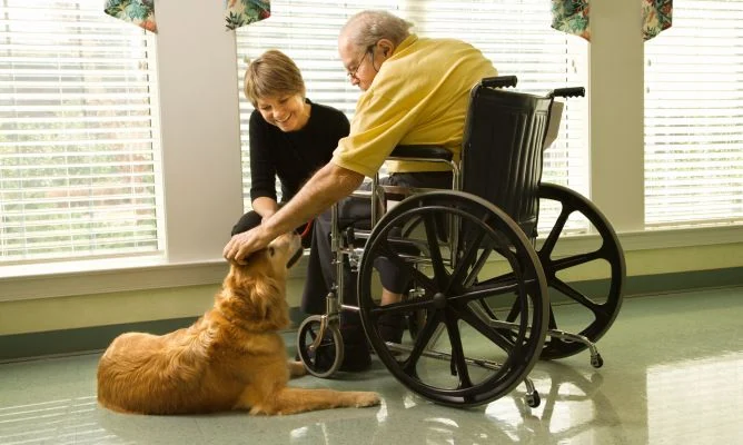 Perro de terapia interactuando con un adulto mayor en silla de ruedas acompañado por una cuidadora.