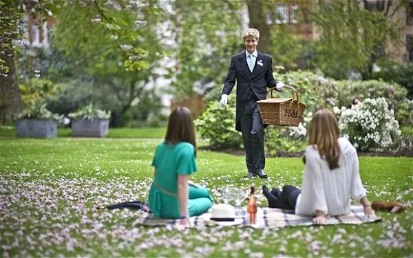 picnic-vip-1_opt