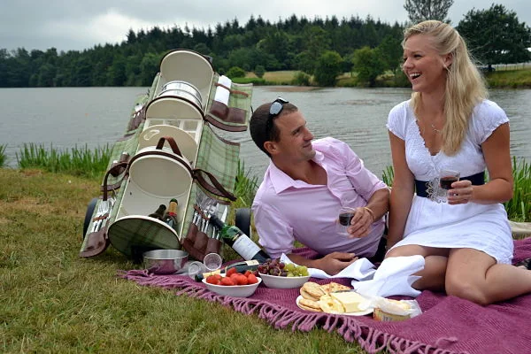 picnic-vip-3_opt