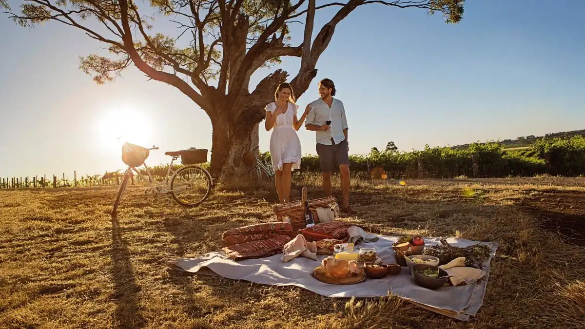comida para picnic