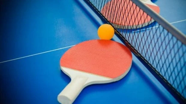 mesa de ping pong plegable