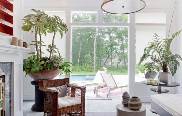 plantas de interior 2