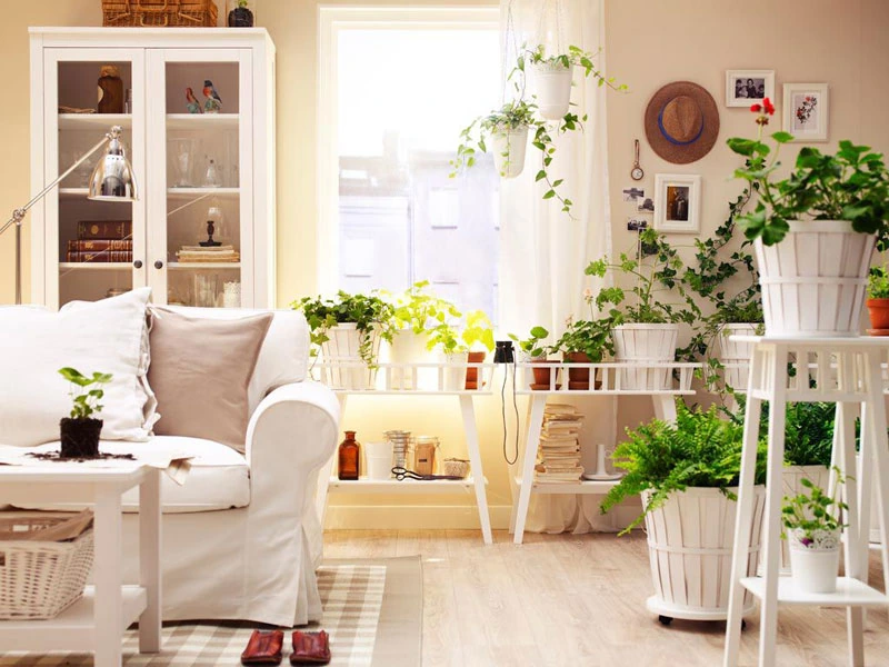 jardines verticales caseros