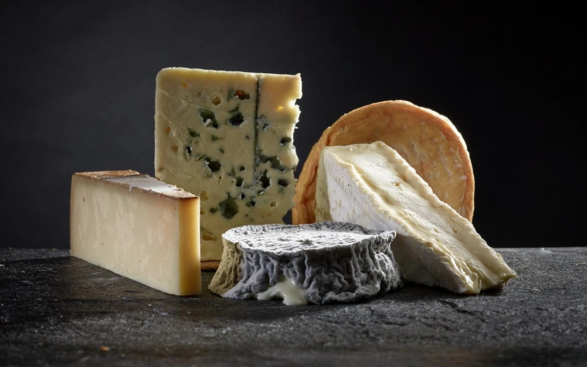 variedades de queso