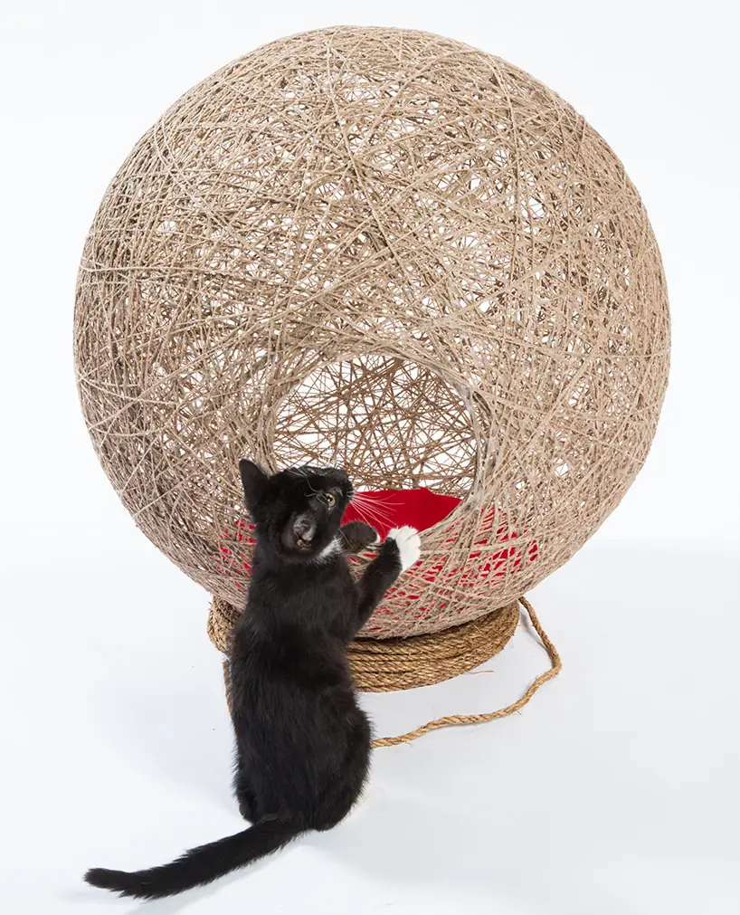 refugios para gatos