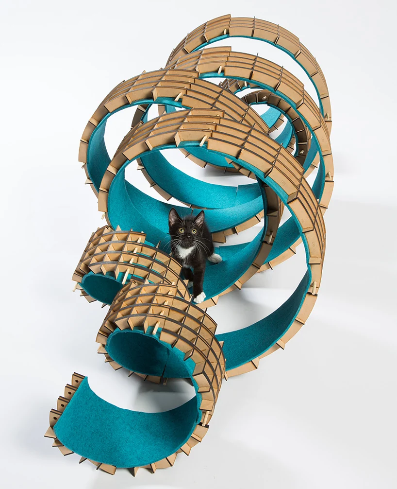 refugios para gatos