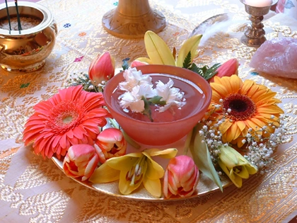 flores de bach