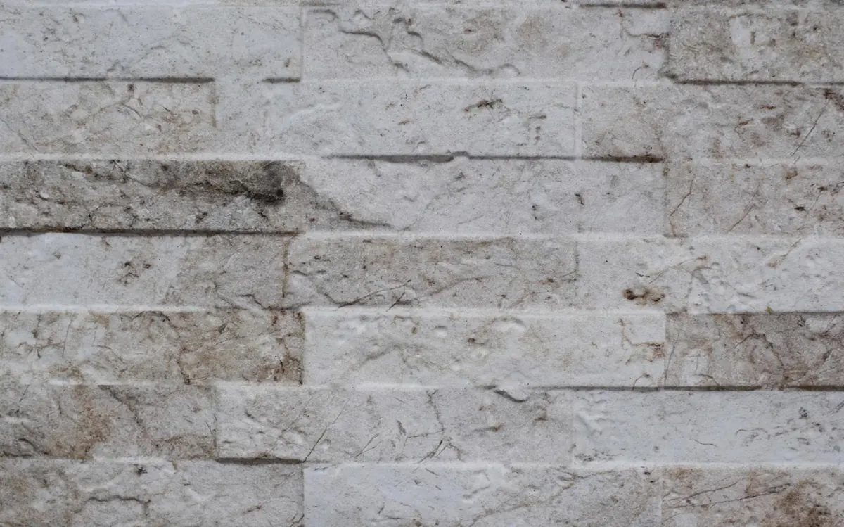 Losa de laja beige con borde irregular sobre fondo oscuro