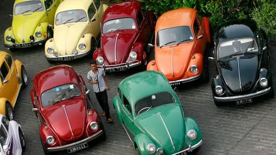 escarabajo volkswagen