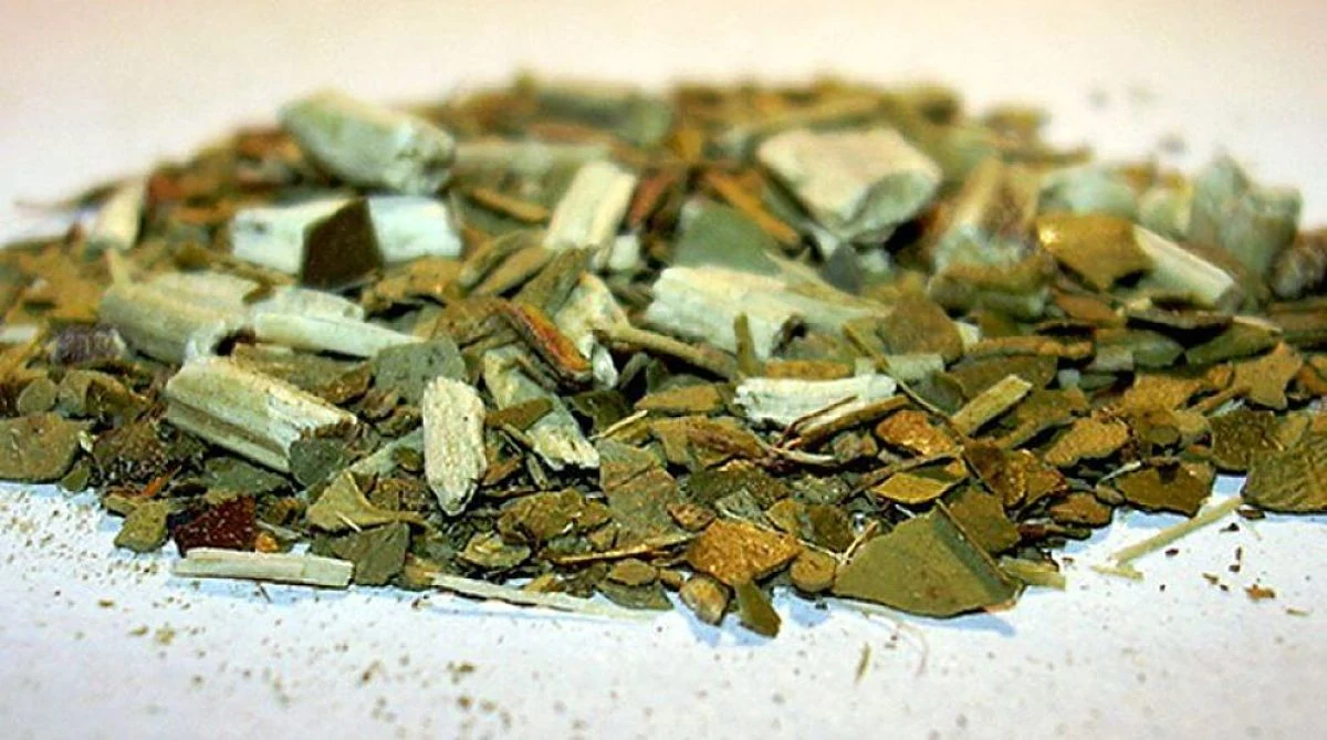 La yerba mate y el tradicional mate de calabaza: símbolos de la cultura rioplatense.
